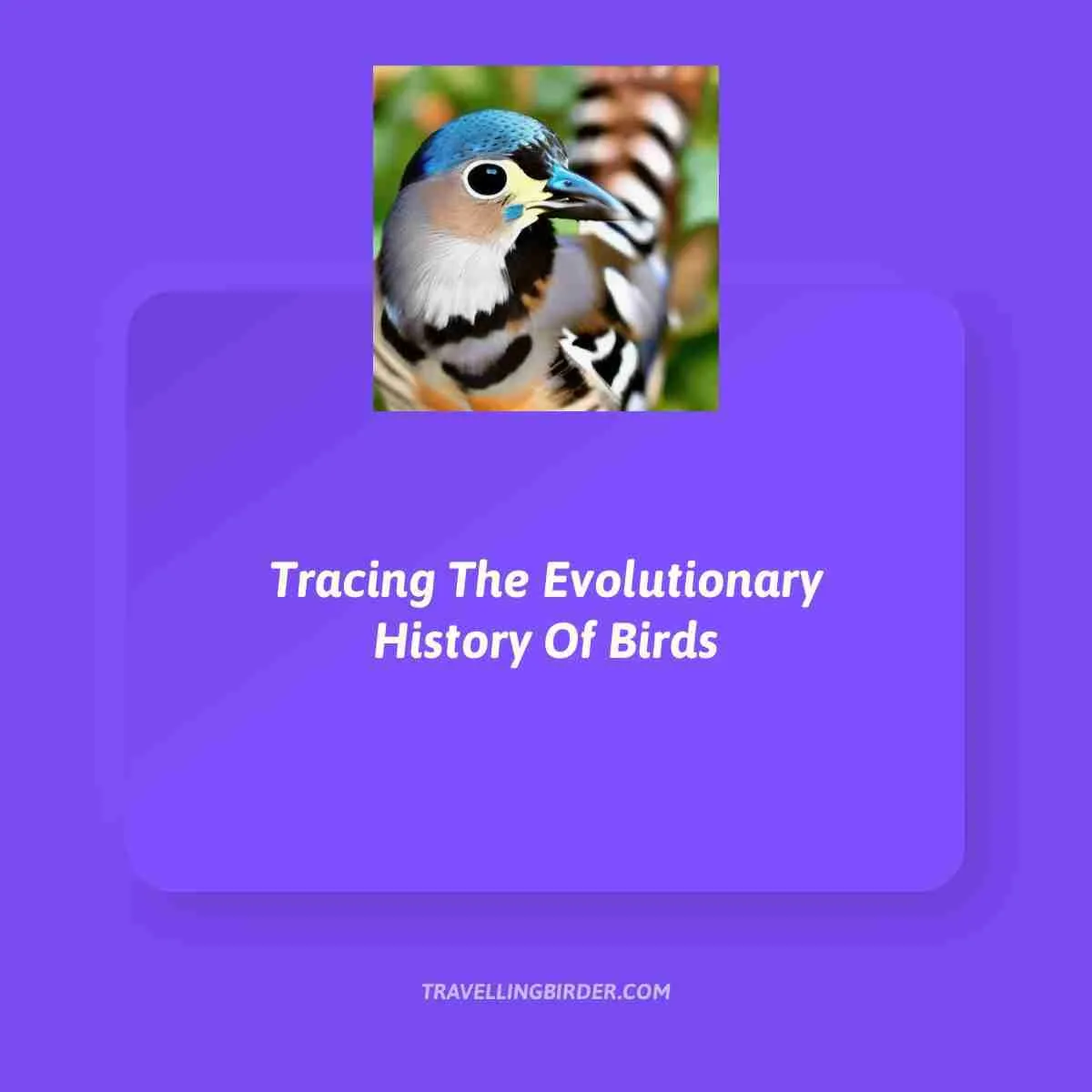 Tracing-The-Evolutionary-History-Of-Birds