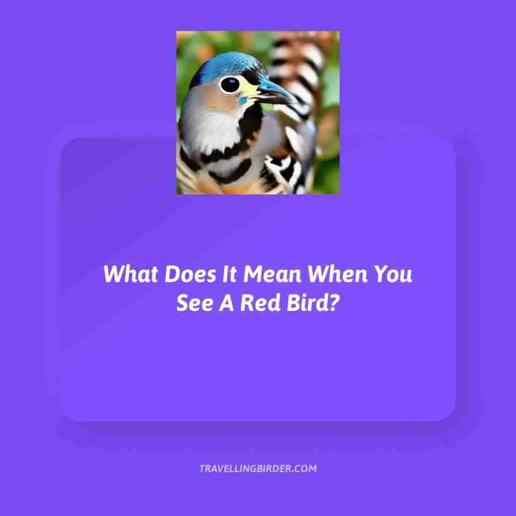 What-Does-It-Mean-When-You-See-A-Red-Bird