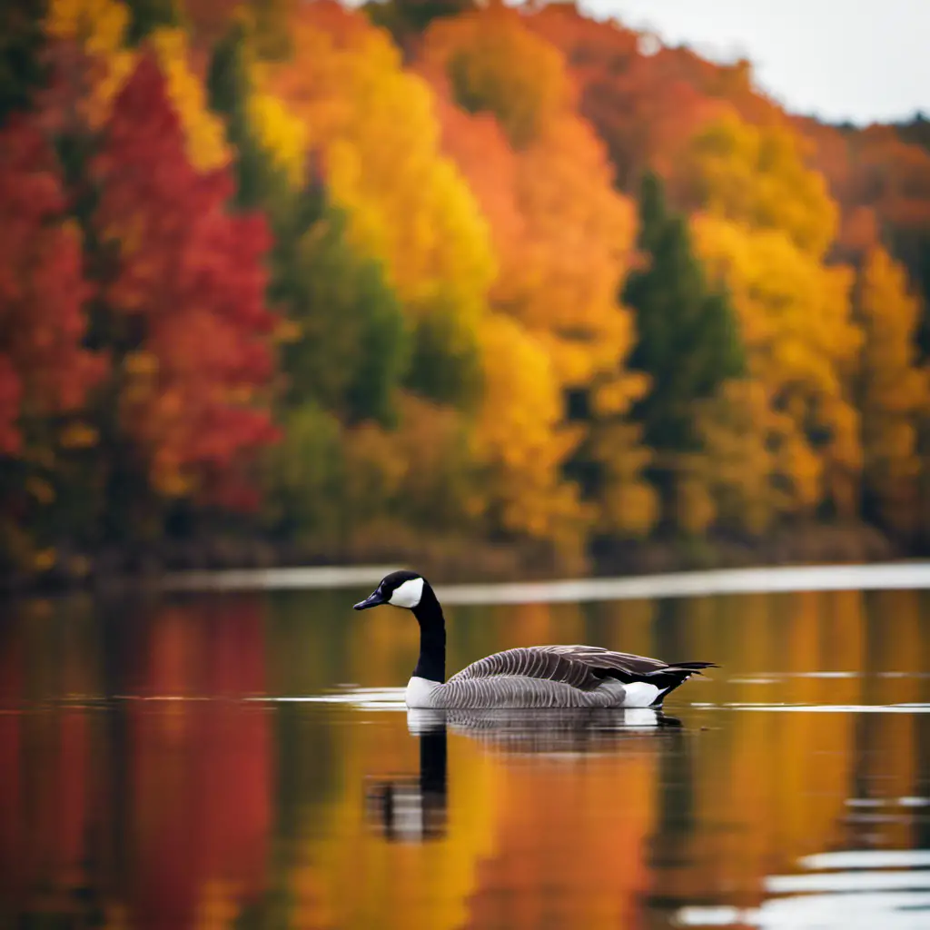 An image capturing the serene ambiance of a Minnesota lakeshore, adorned with vibrant autumn foliage