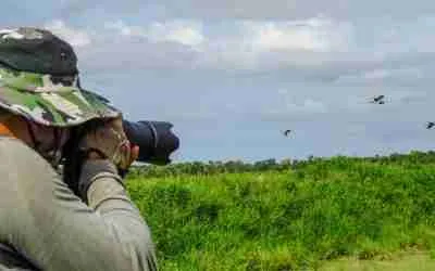 Man photographing birds in one of the best cities in the US for birdwatching